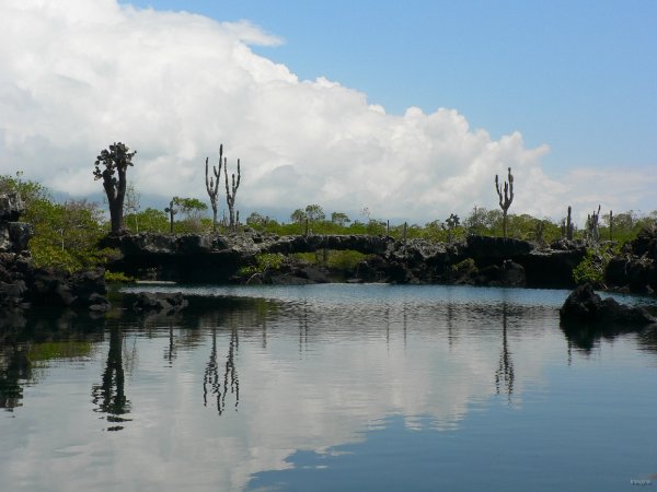 118- Lagune abritee, refuge des tortues marines 